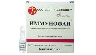 имунофан уколы