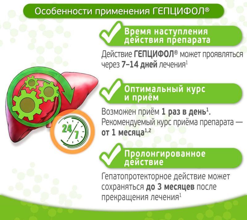 Гепцифол 400мг 20 шт. таблетки кишечнорастворимые, покрытые пленочной оболочкой, фото №6