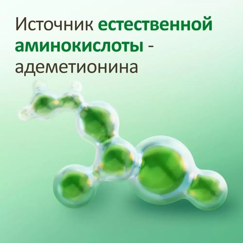 Гептрал 400мг 20 шт. таблетки покрытые кишечнорастворимой оболочкой, фото №4
